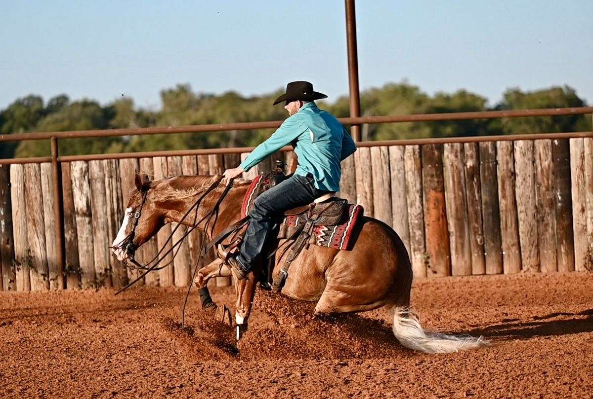 Chubbs - Big, Bold & Beautiful 5 Yr Old Sorrel AQHA/APHA Gelding!