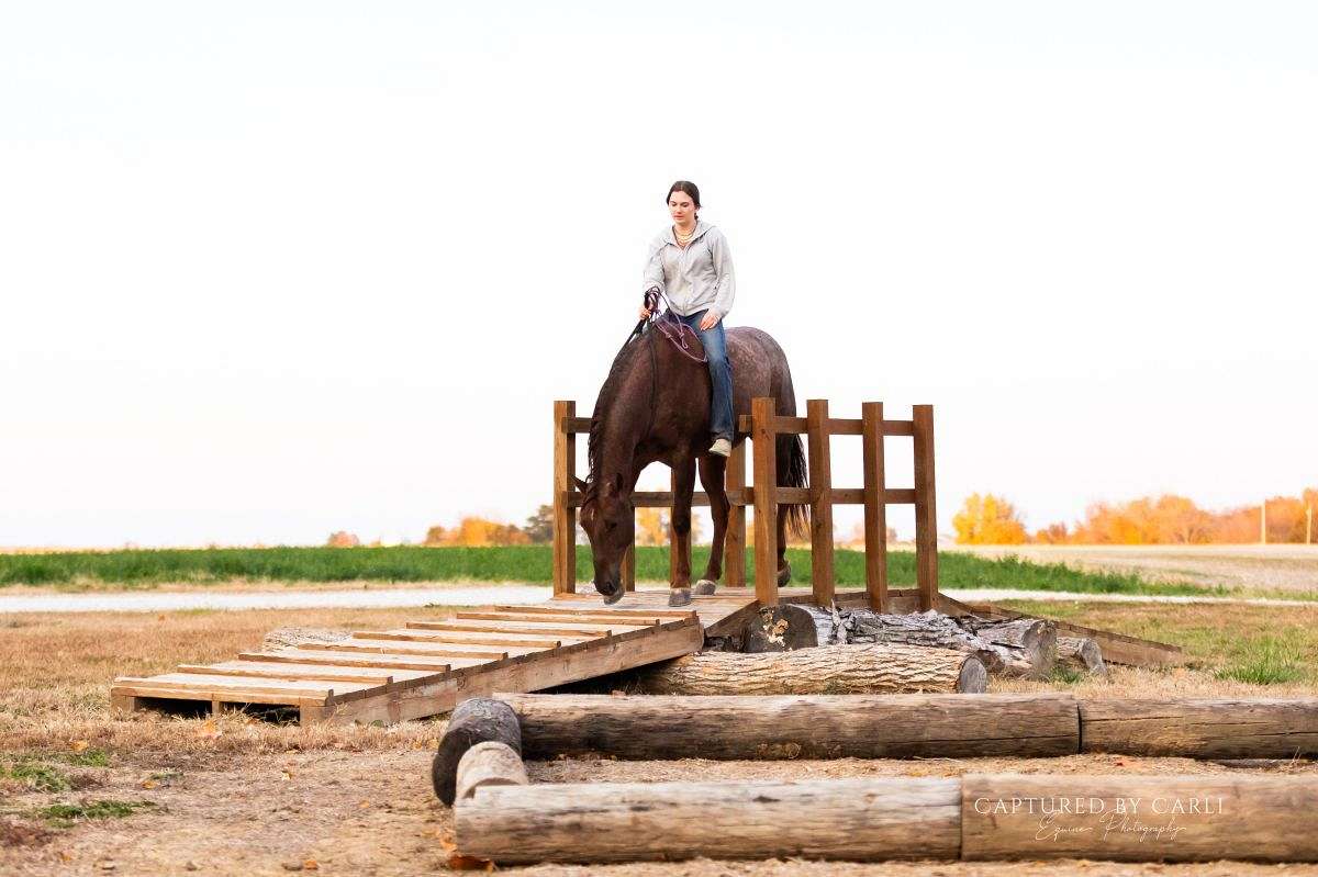 Woodrow Call Ranch Woodrow - Trustworthy Ranch & Roping Horse 4 Yr Old Red Roan AQHA Gelding!