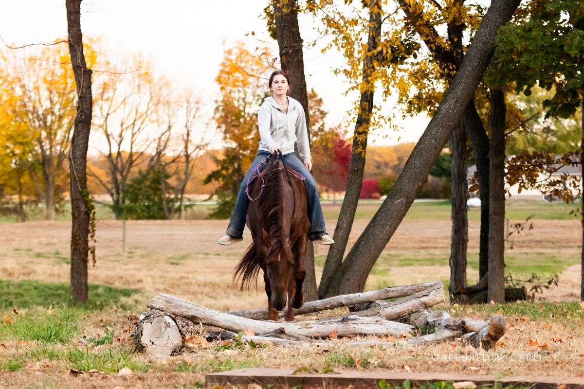 Woodrow Call Ranch Woodrow - Trustworthy Ranch & Roping Horse 4 Yr Old Red Roan AQHA Gelding!