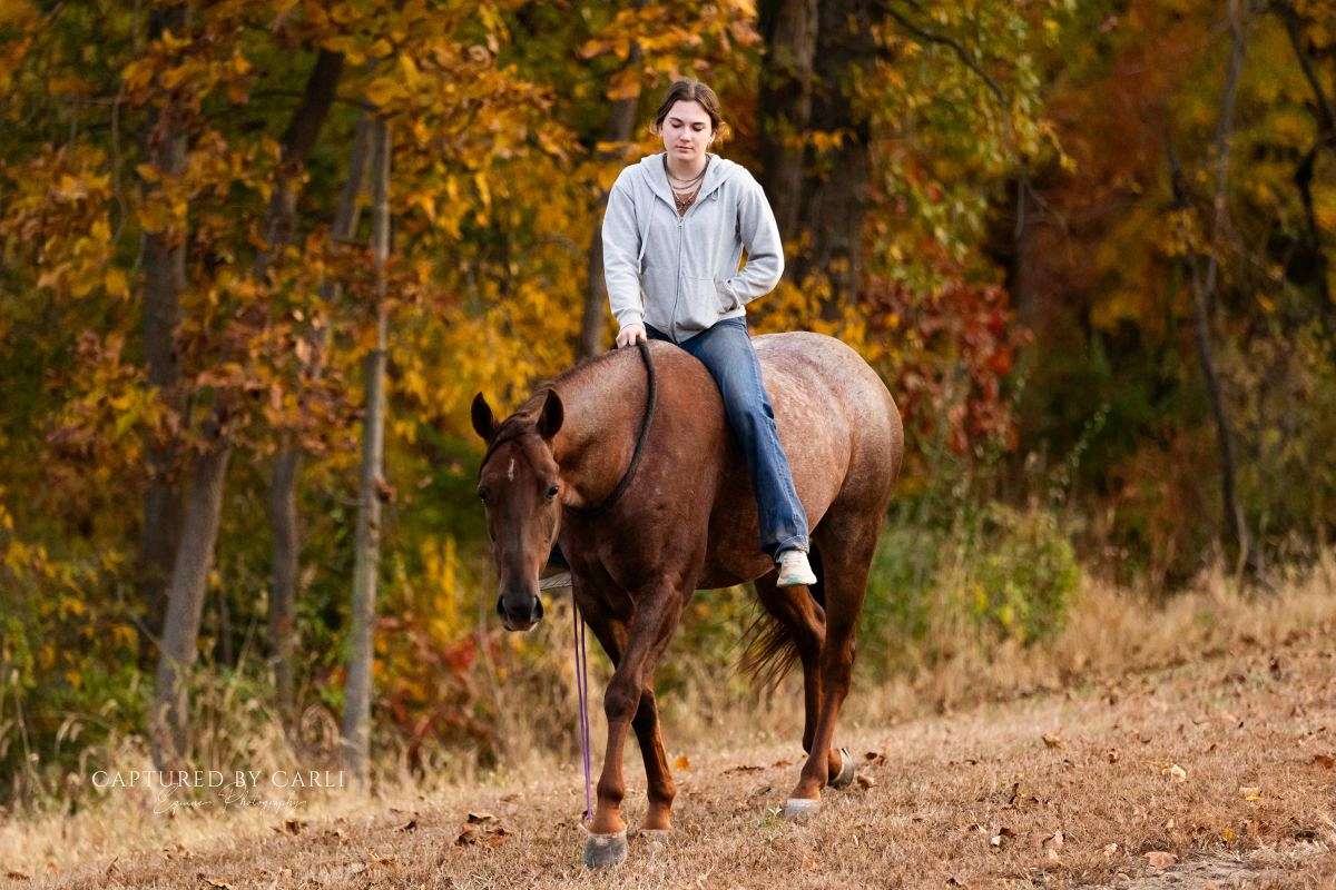 Woodrow Call Ranch Woodrow - Trustworthy Ranch & Roping Horse 4 Yr Old Red Roan AQHA Gelding!