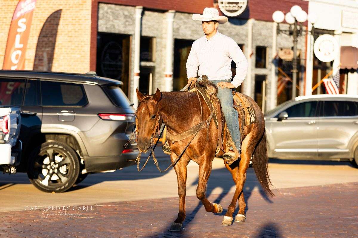 Woodrow Call Ranch Woodrow - Trustworthy Ranch & Roping Horse 4 Yr Old Red Roan AQHA Gelding!