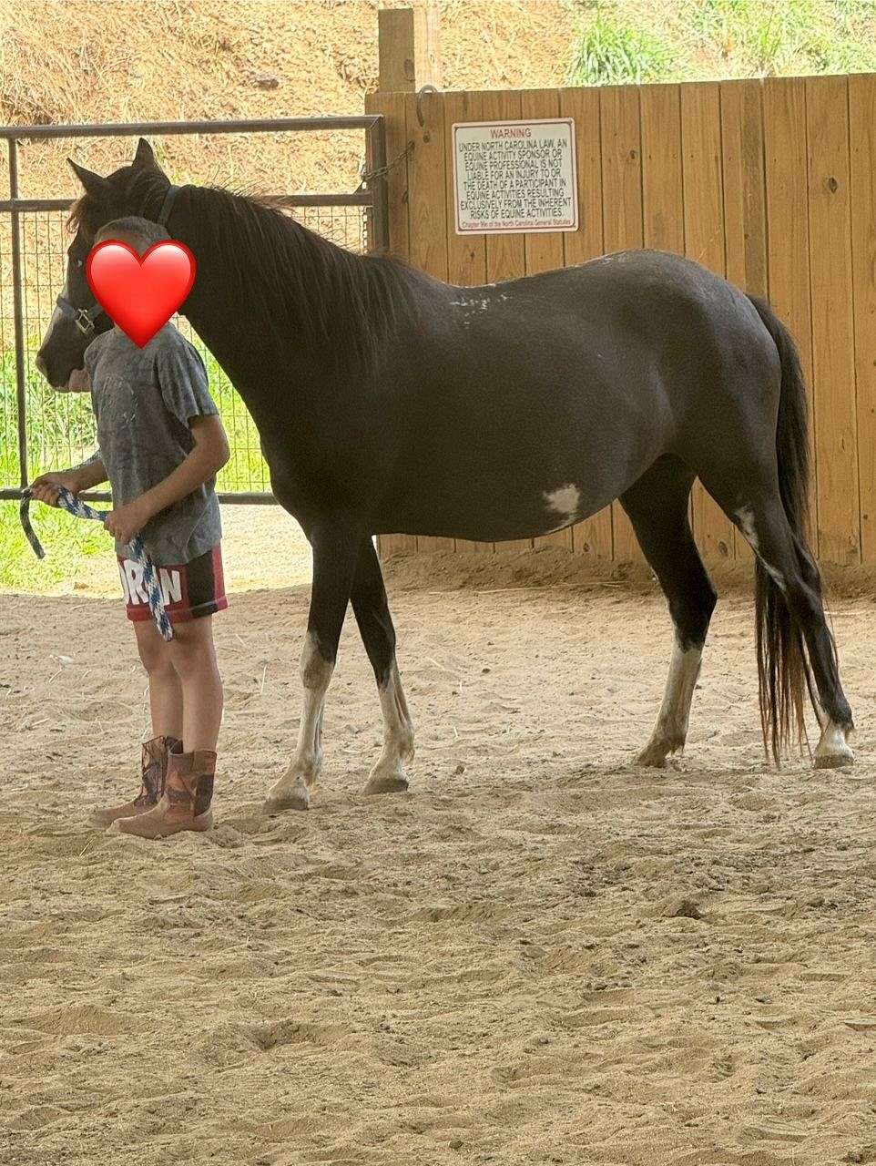 Beautiful Project Pony