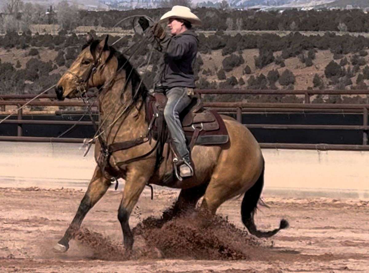 Pastel Roping Team Roping Horse - Jess