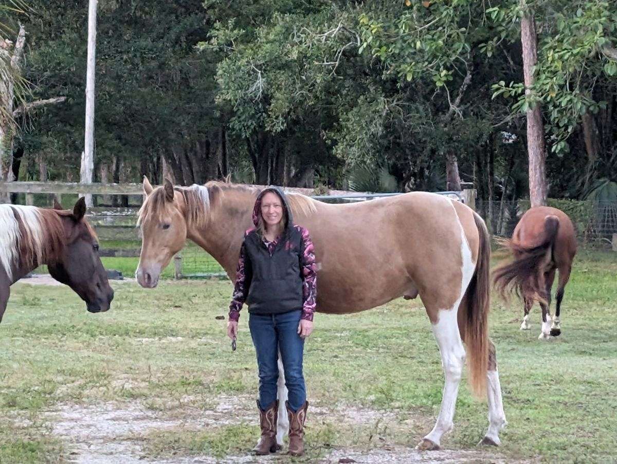 Thrillers Champagne Archer Hs (Barley) Champagne Tobiano Racking Horse