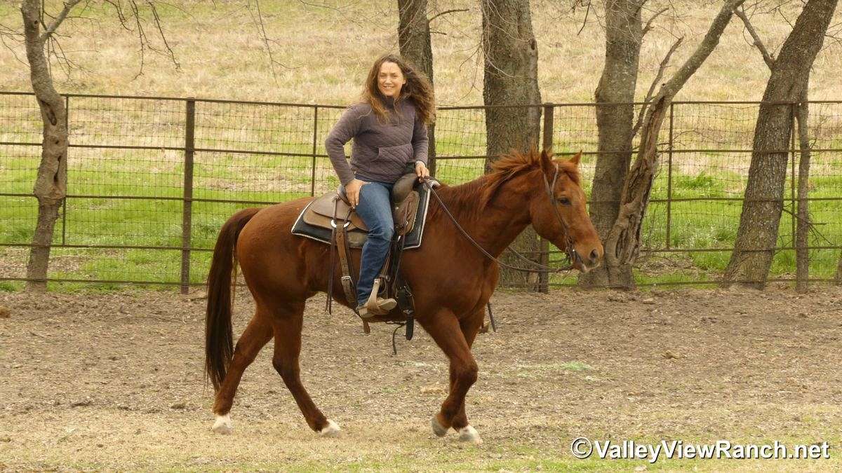 A Boy Named Suen “Johnny” - 15.0h, 2015, Sorrel AQHA Gelding