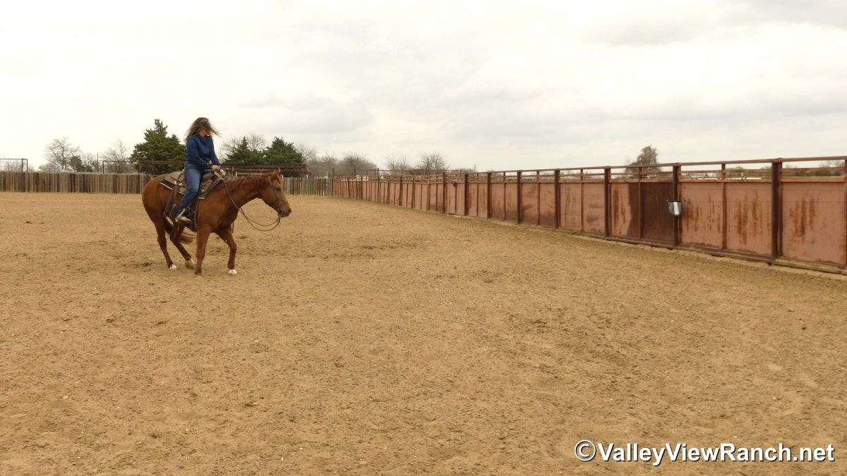 A Boy Named Suen “Johnny” - 15.0h, 2015, Sorrel AQHA Gelding