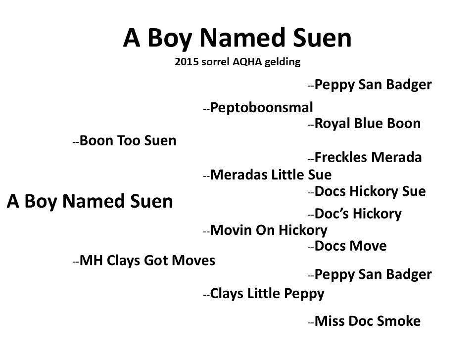 A Boy Named Suen “Johnny” - 15.0h, 2015, Sorrel AQHA Gelding