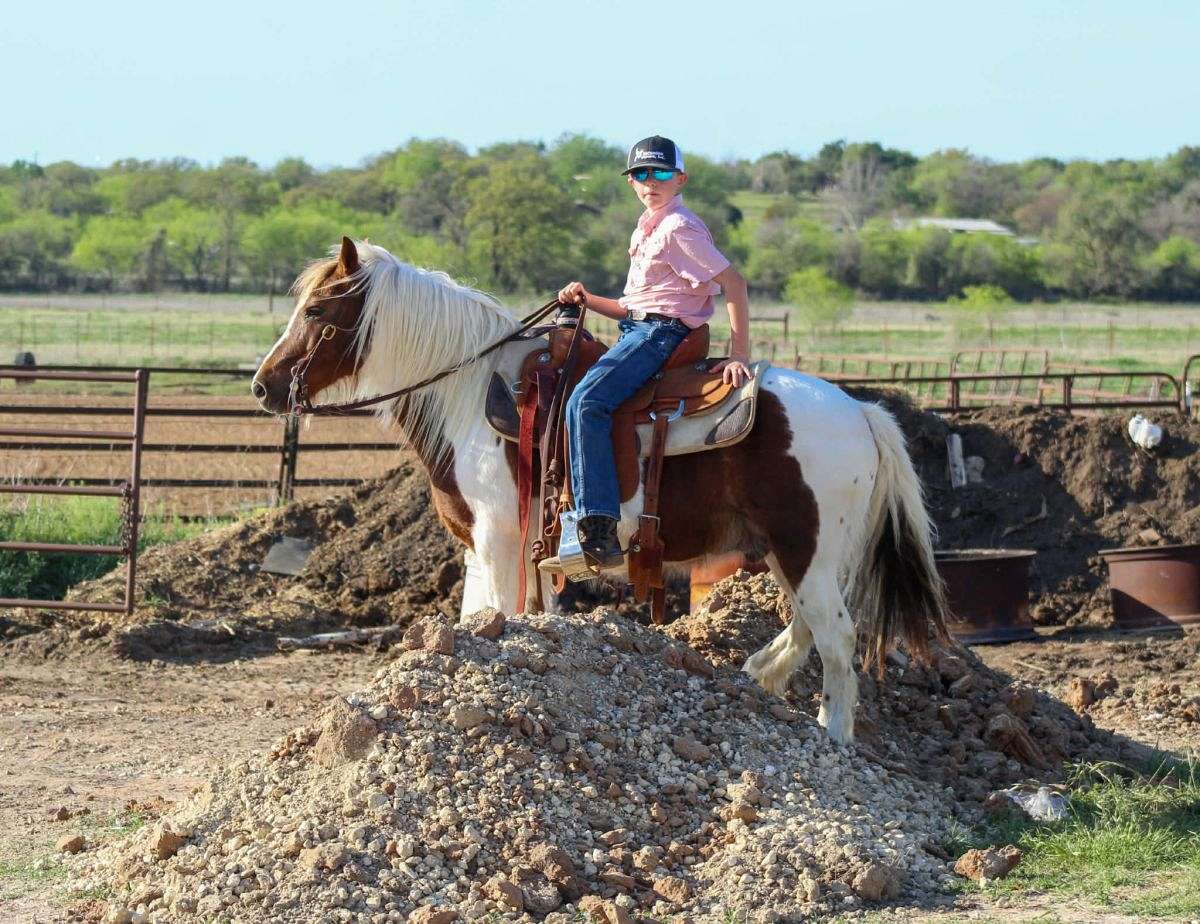Adorable and Broke Kid's Ranch Pony Deluxe 8 Yr Old Paint Pony Gelding!