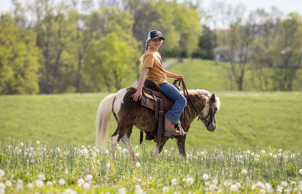 Gentle Riding Scout Friendly, Gentle, Uniquely Marked Gelding Pony