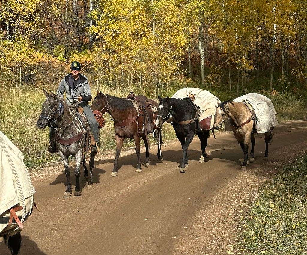 Black Leopard Trail & Pack Appaloosa Mare