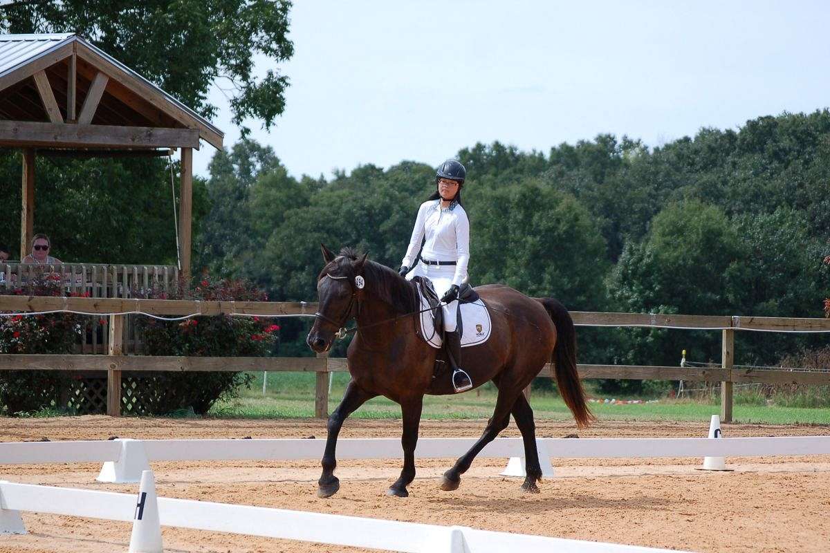 Inredible Ride Saint - Incredible Gelding Available for Onsite Half Lease