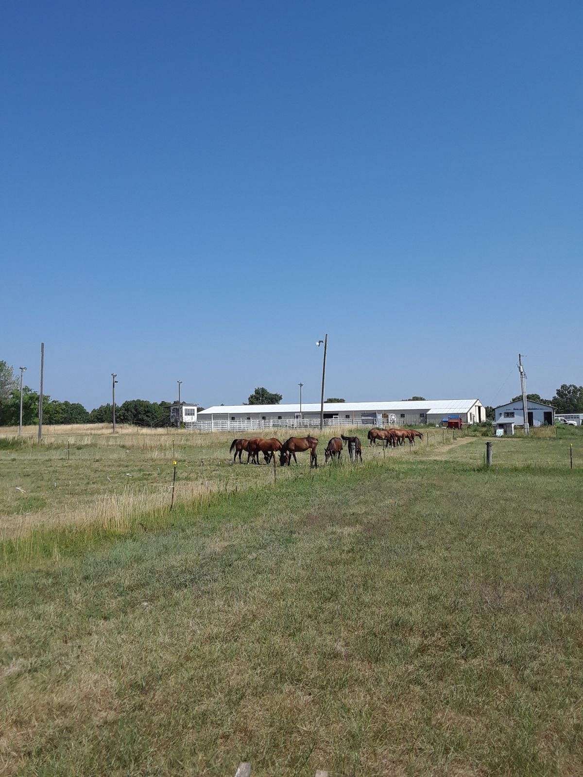 50 Acres , 200 ft. Barn with small house
