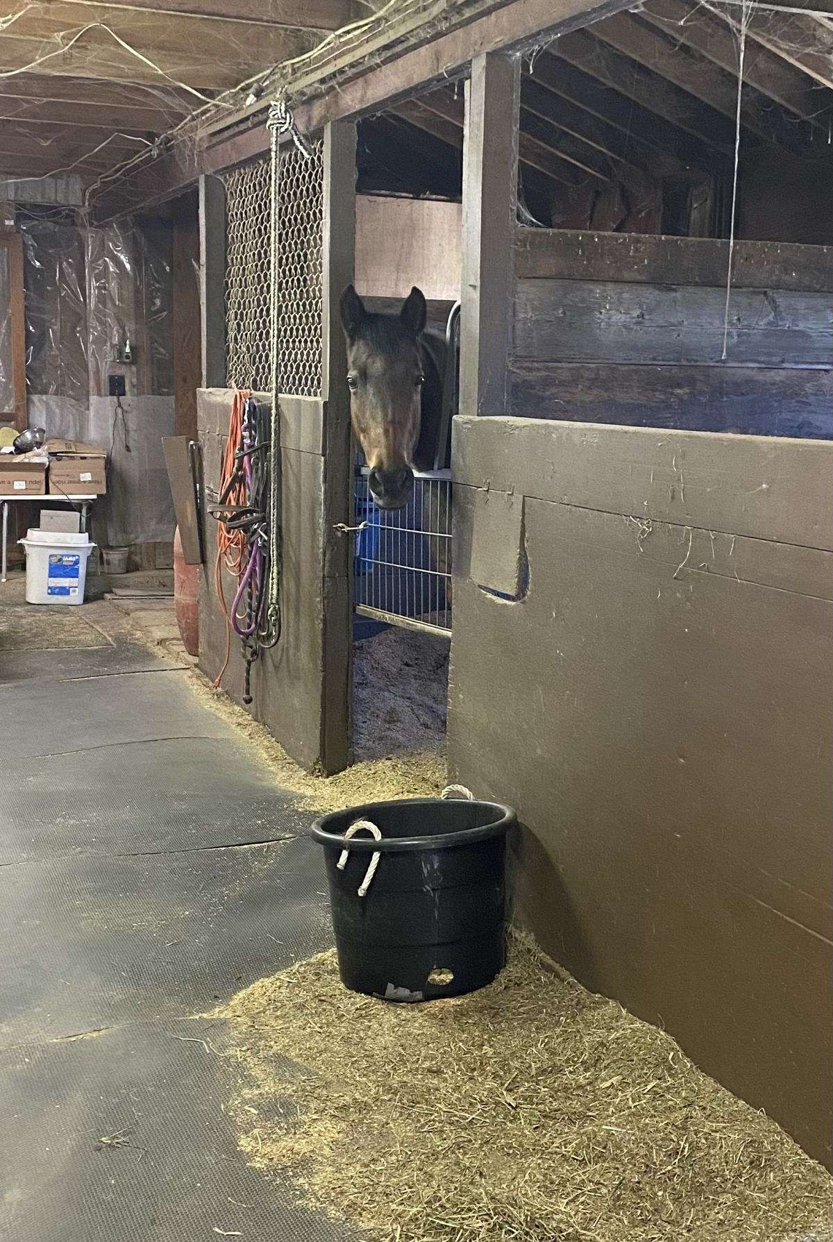 North Brook Horse Farm