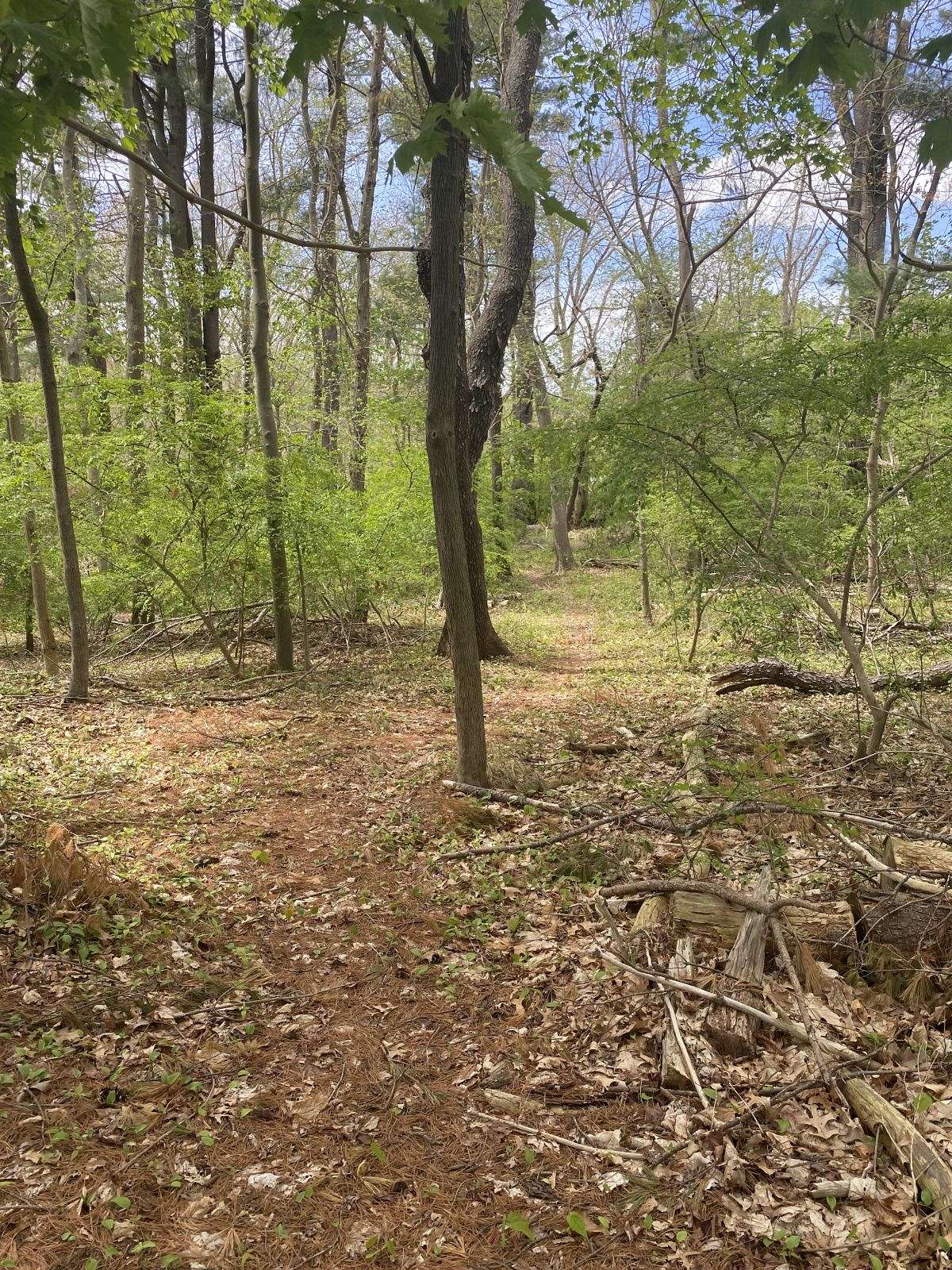 North Brook Horse Farm
