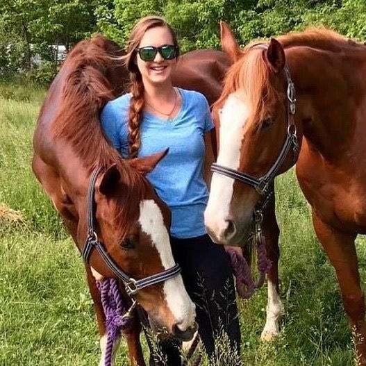 Certified Equine Massage