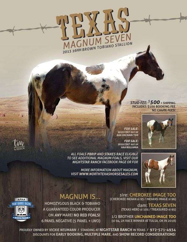 Texas Magnum SevenDouble Homozygous Tobiano&Black