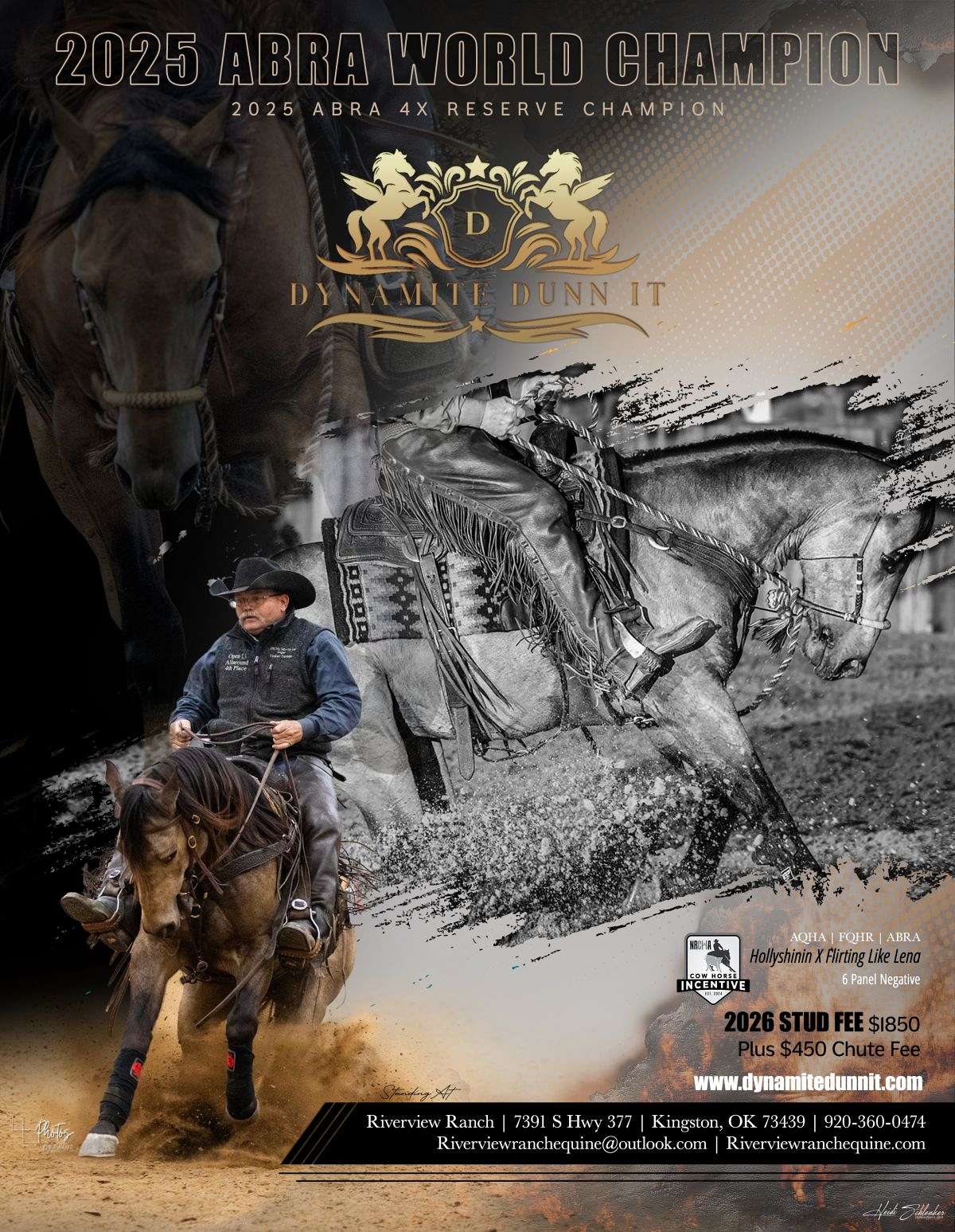 ABRA World Champion & 4X Reserve Champion