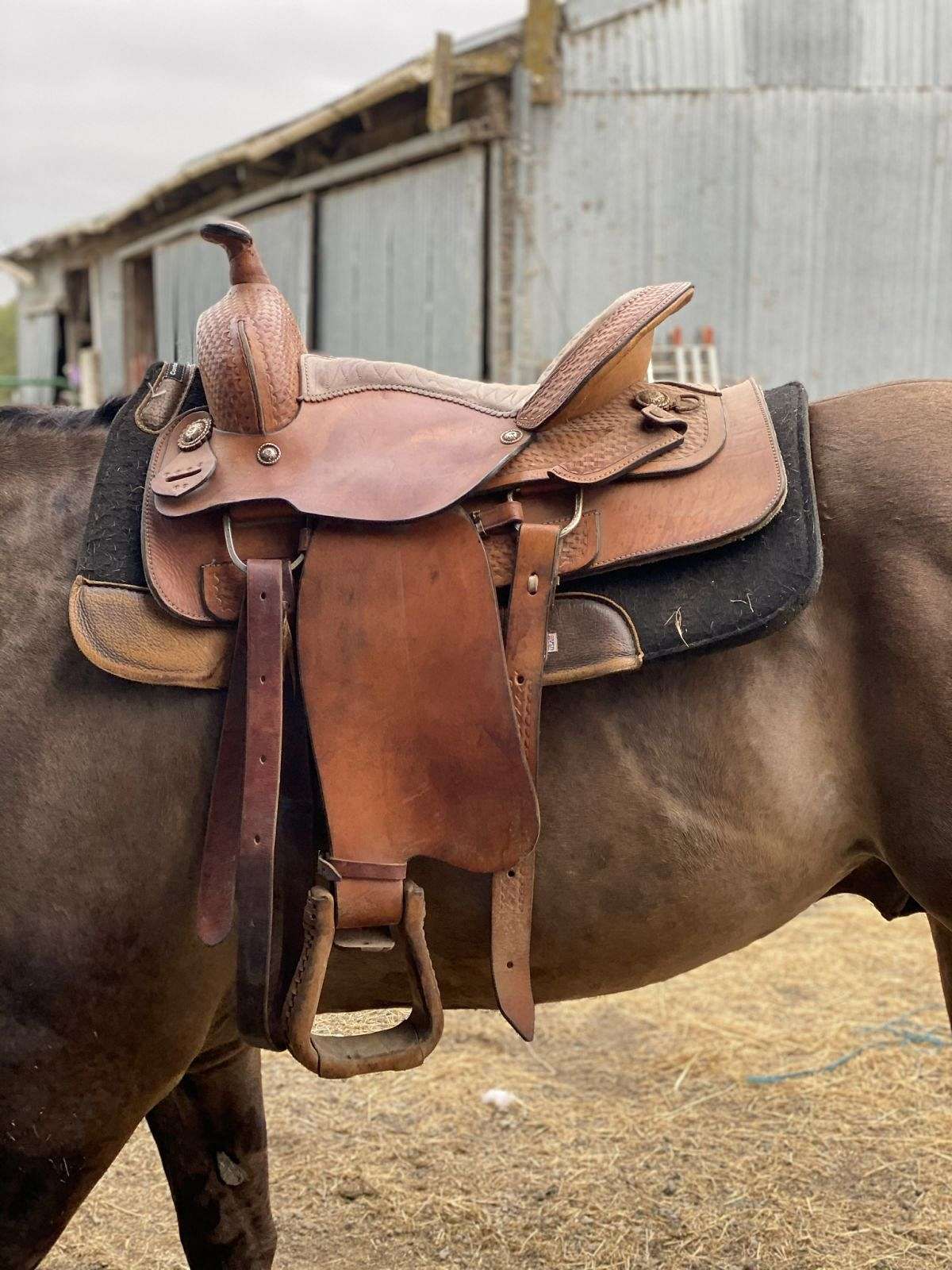Benchmark 16” western saddle