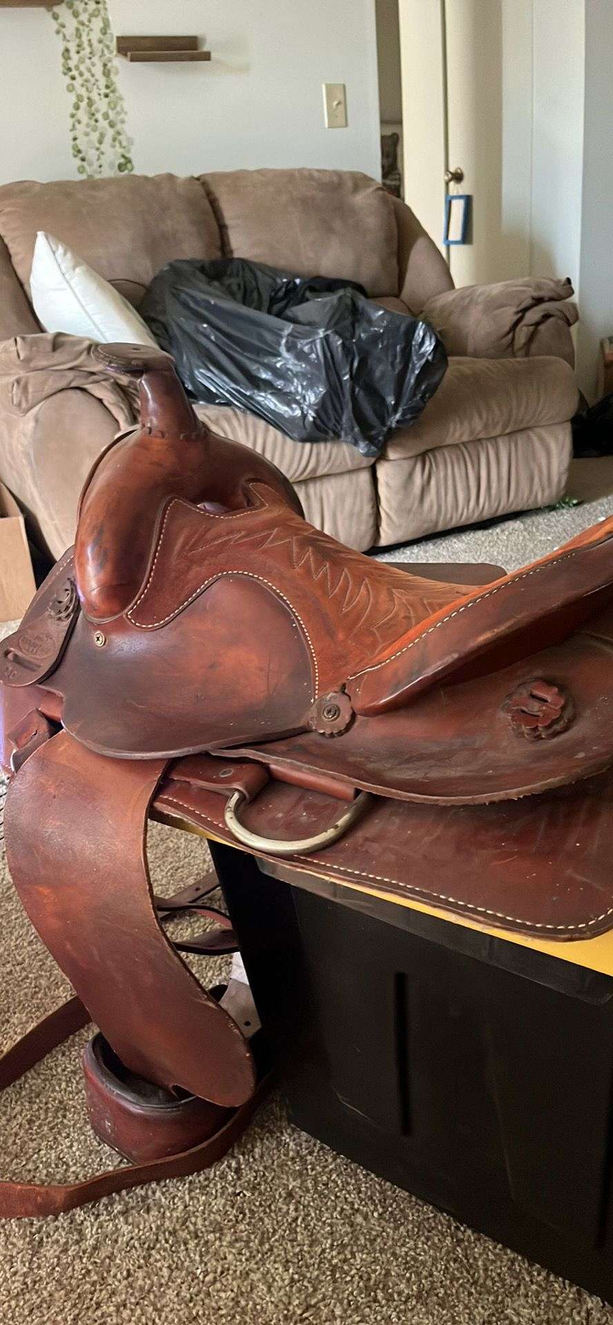 Western saddle