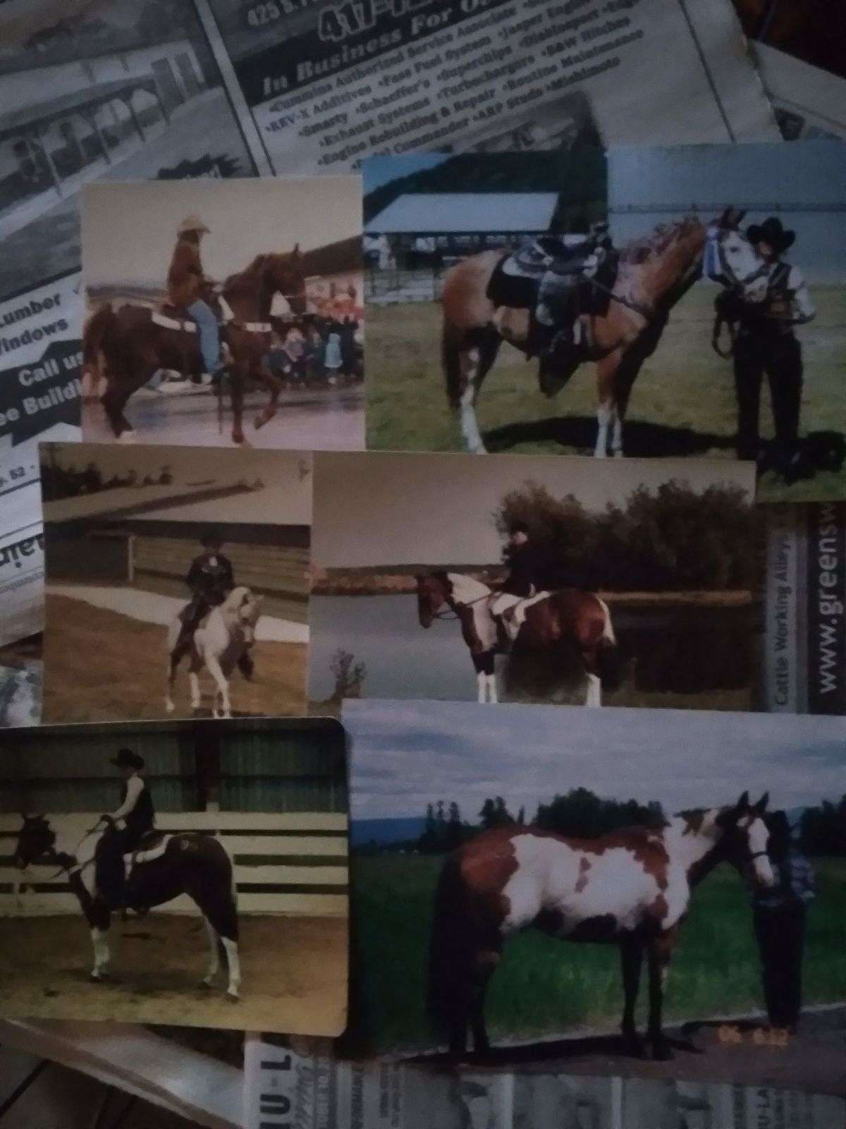 TONS of quality tack