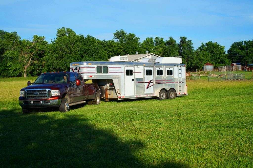 Used Elite Horse trailers for sale