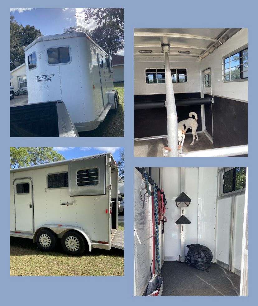 SOLD***2 Horse Straight Load *Warmblood Size*