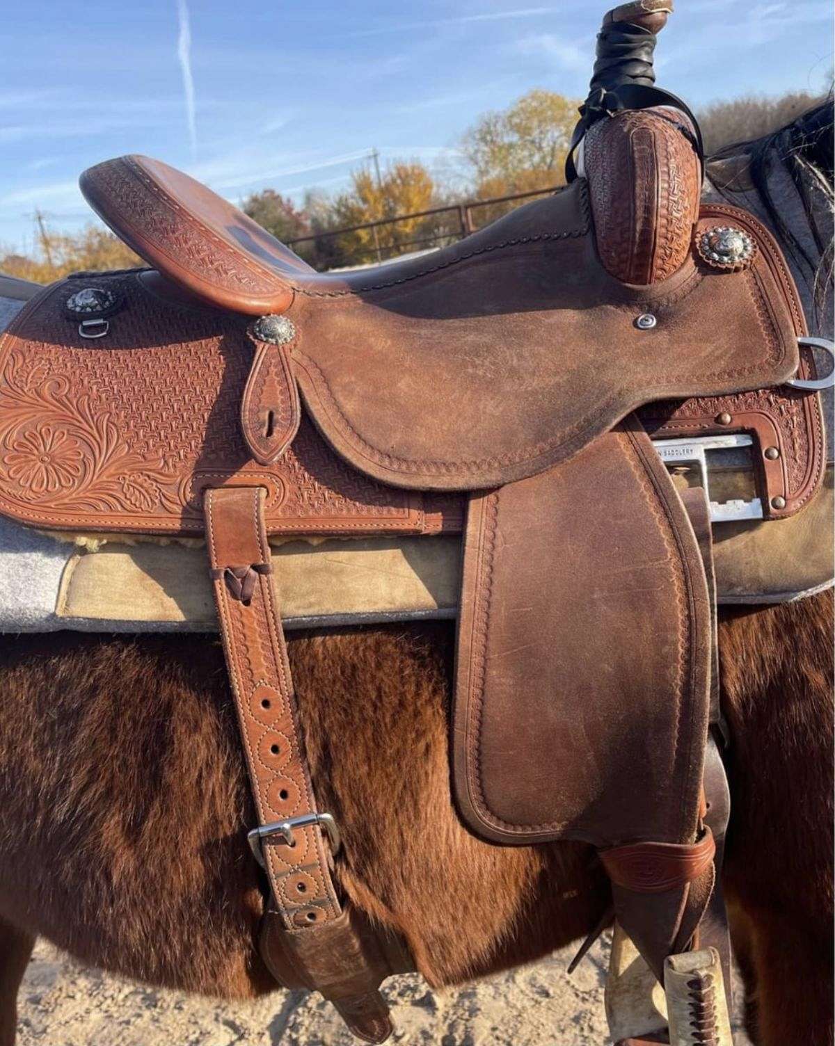 15.5in Martin All Around Saddle