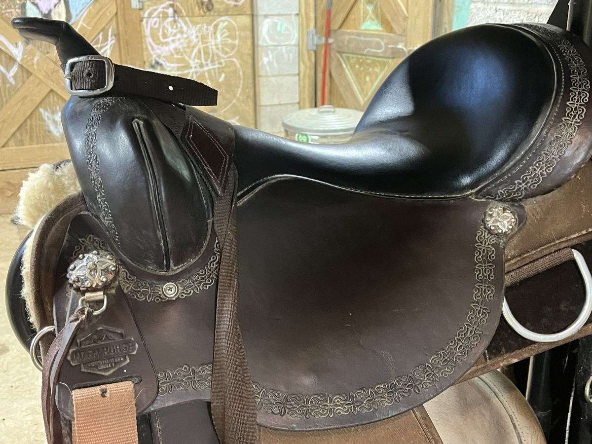 High Horse Flex 2 by Circle Y