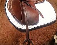 19-inch-eventing-saddles