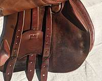 english-saddles-in-stratford-ct