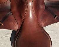 excellent-english-saddles-in-stratford-ct