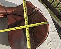 brown-english-saddles-in-stratford-ct