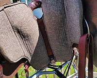 leather-english-saddles-in-wrightsville-pa