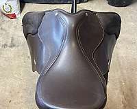 wintec-english-saddles-in-rock-hill-sc