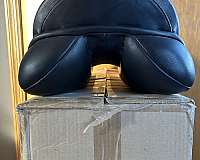 18-inch-anky-saddles