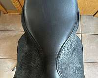 buffalo-dressage-training-saddles