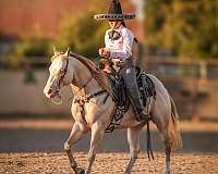 uset-horse