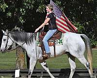ranc-quarter-pony