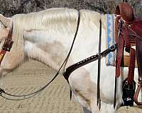 palomino-white-draft-horse