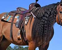buckskin-ridden-w-horse
