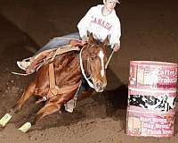barrel-racing-quarter-pony