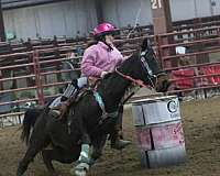 barrel-racing-quarter-horse