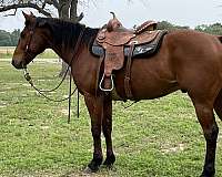 youth-rodeokid-safe-quarter-horse