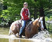 natural-donkeymanship-training-quarter-donkey