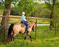 ranch-versatility-quarter-pony