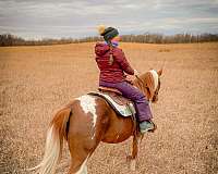 gentle-family-paint-horse