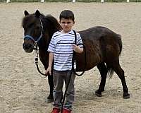 kid-safe-pony