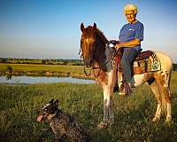 cowboy-mounted-shooting-appaloosa-pony