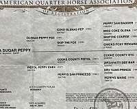western-pleasure-quarter-horse