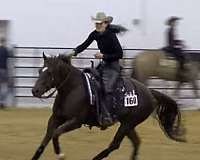 easy-to-ride-filly